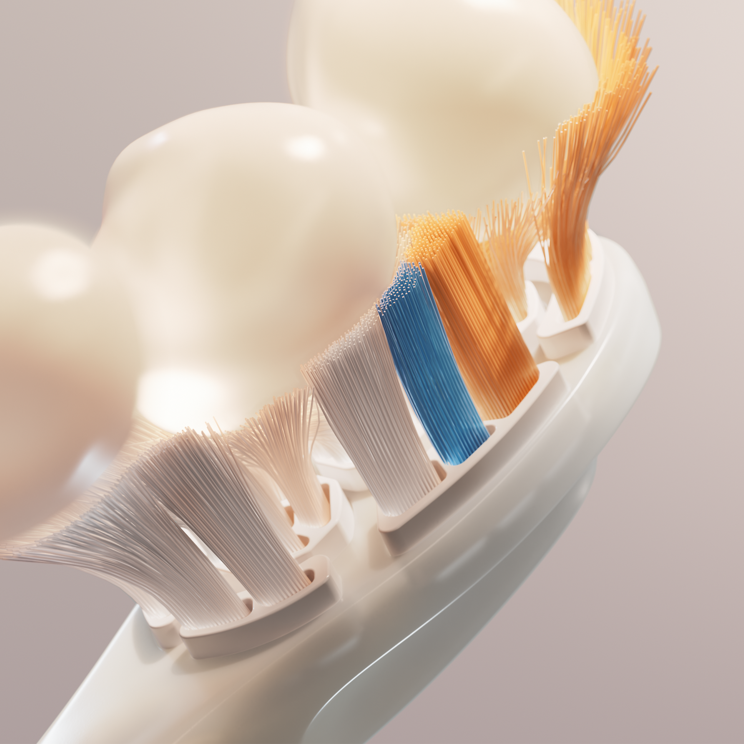 Image of brush head