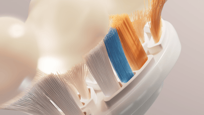 Image of brush head