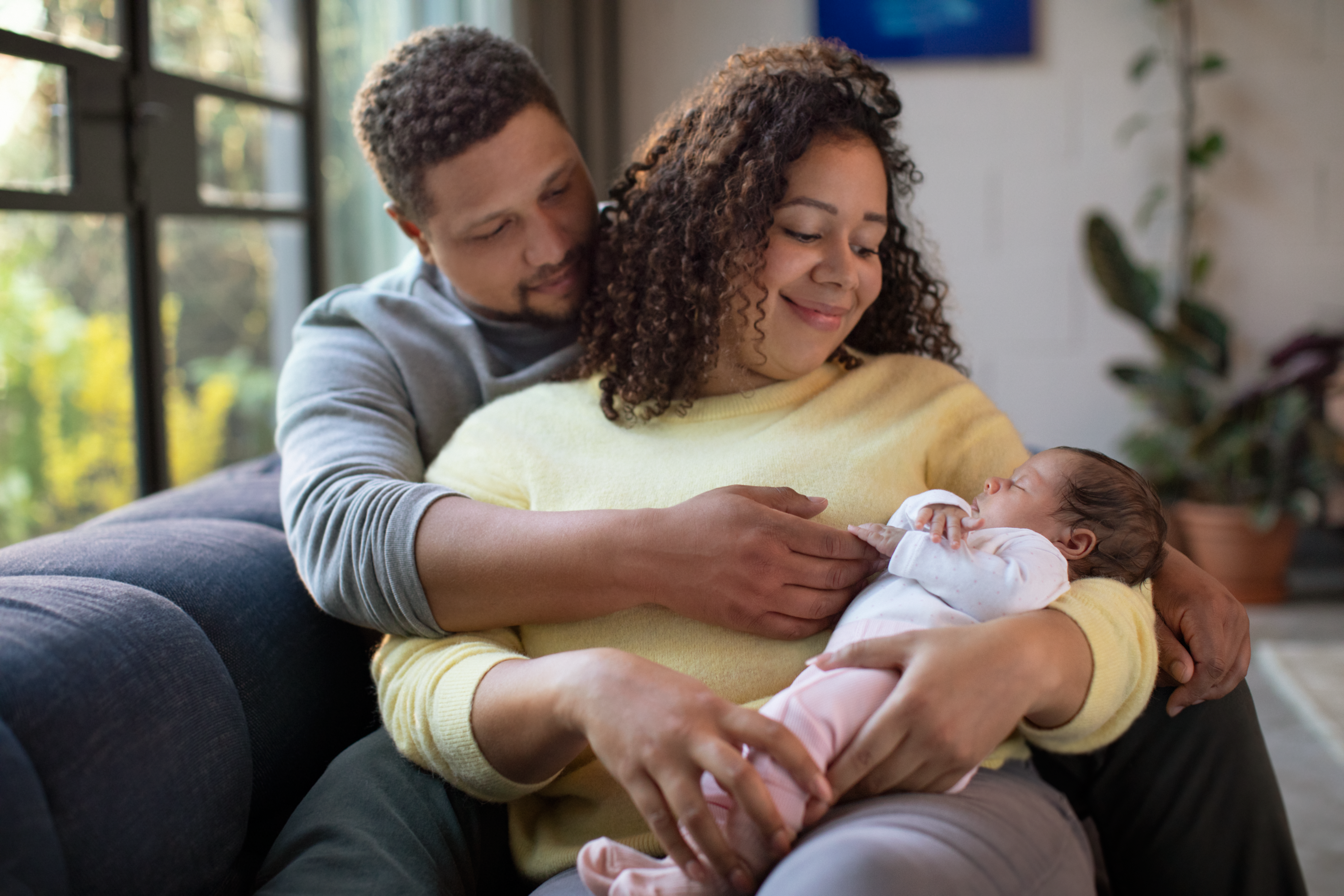 When Does Milk Come In: Your Questions Answered