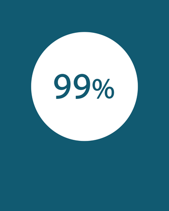99 % ikona