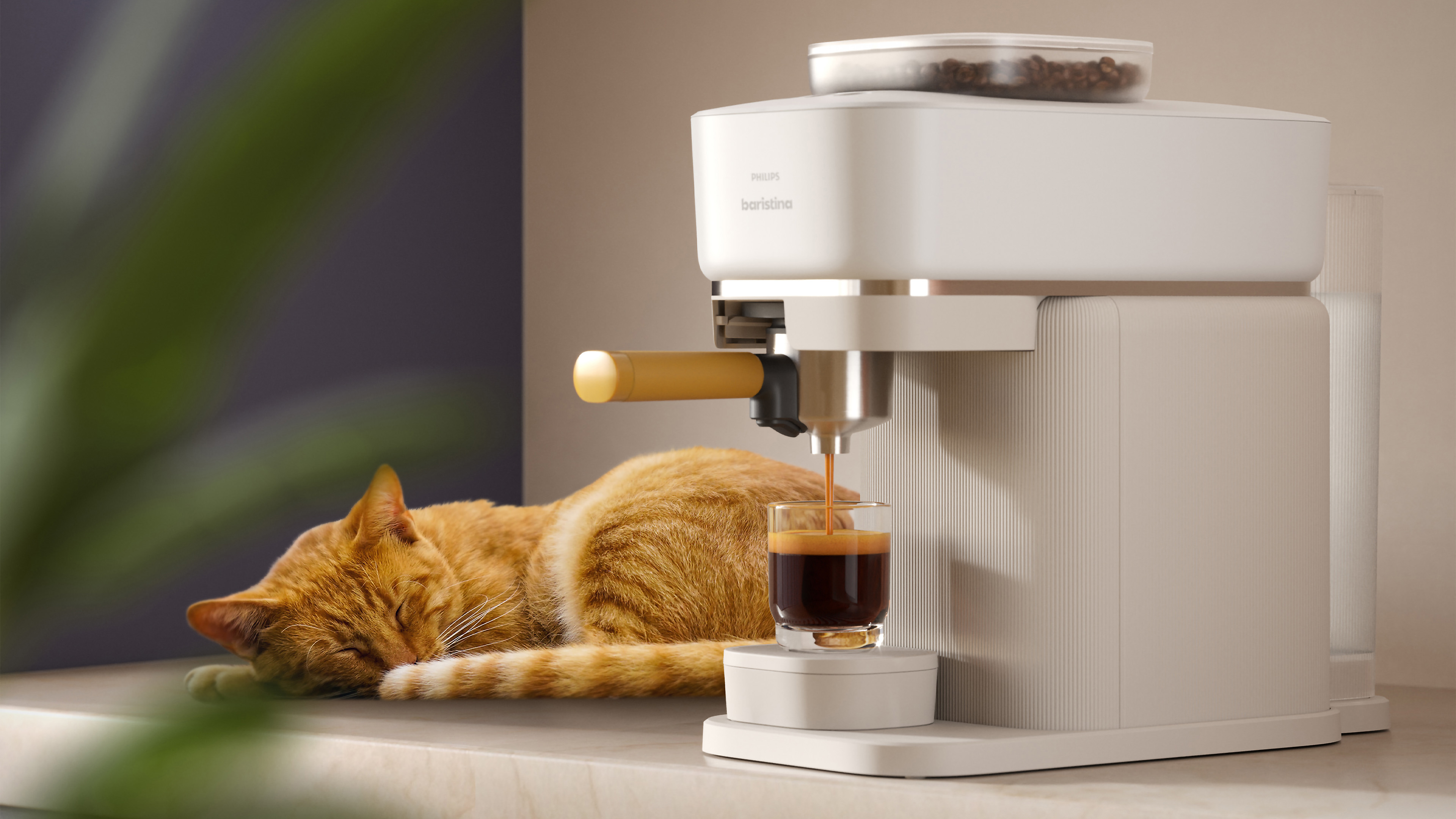 Philips Baristina със спяща котка до нея