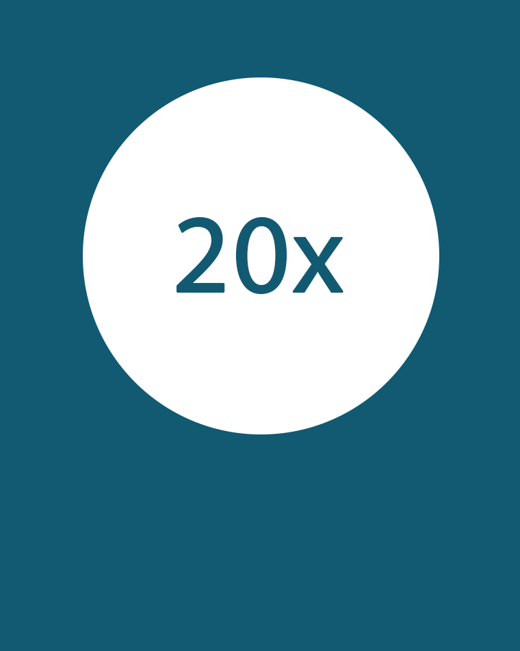 20x Icon