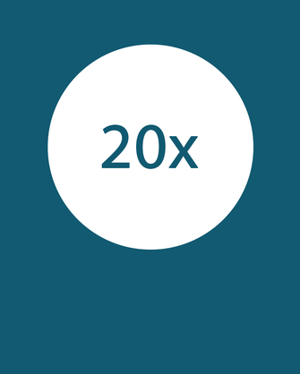 20x Icon