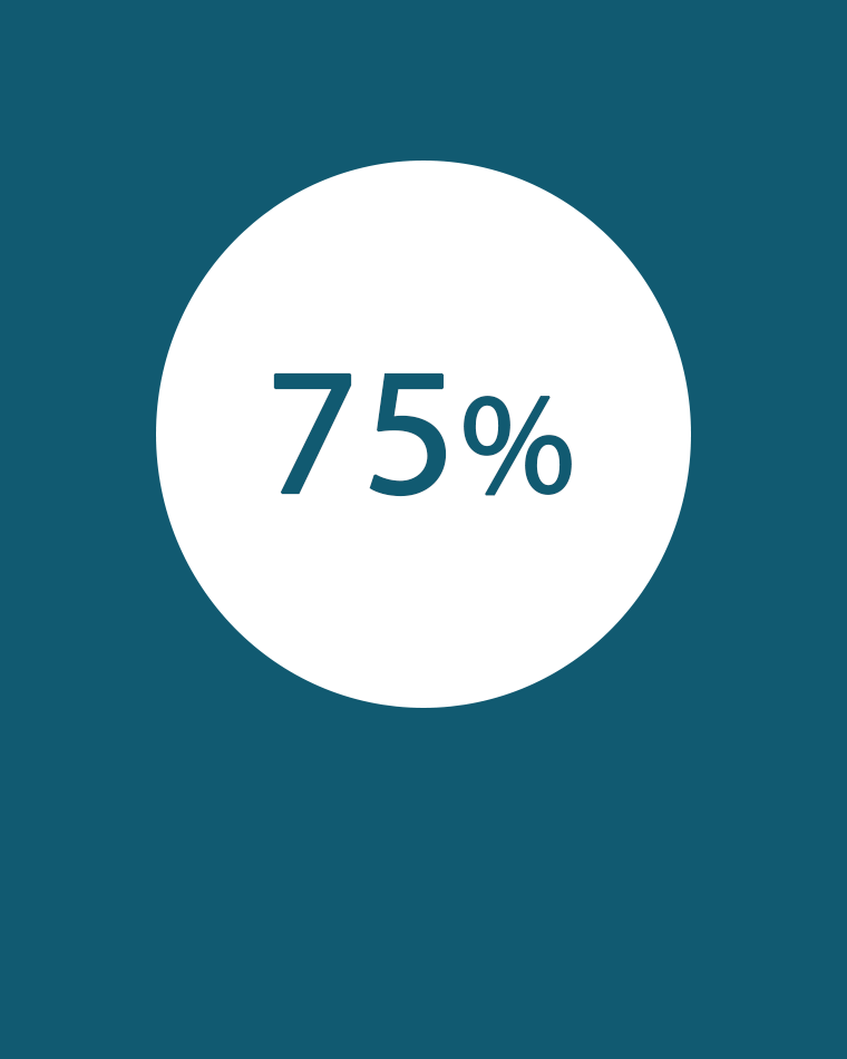 75% icon