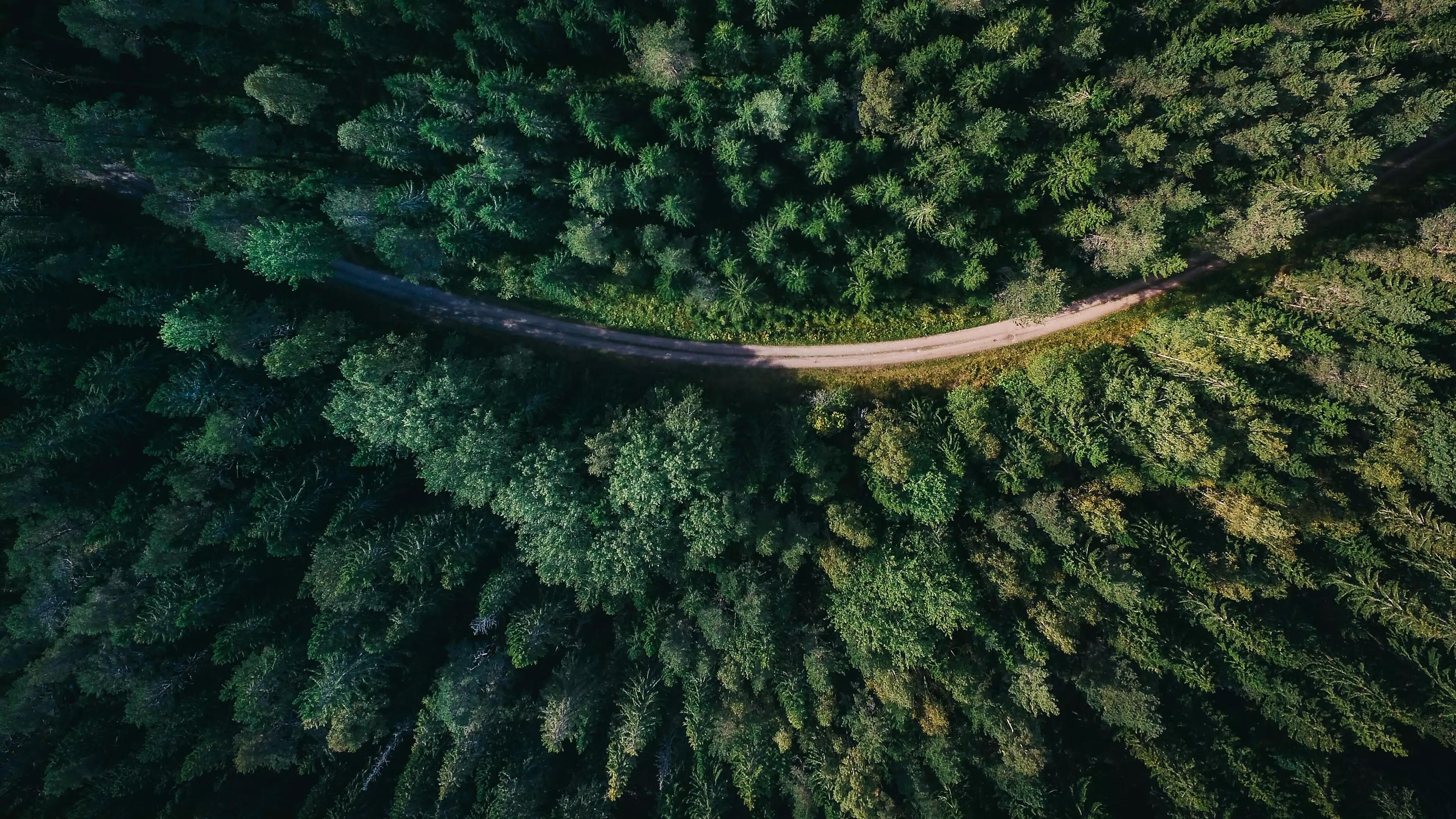 Engineered for the long run