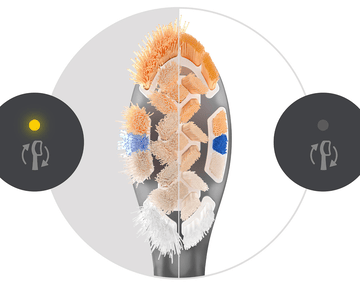 Keep brushing your best with BrushSync