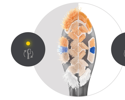Un brossage toujours efficace avec BrushSync