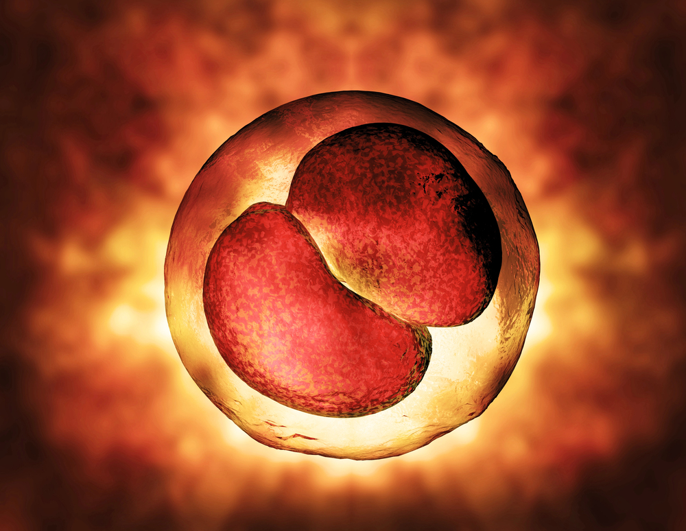 saptamana 3