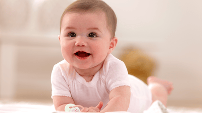 Начало прикорма