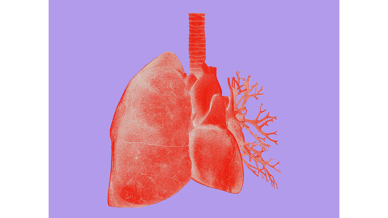 A stylised anatomical illustration of the human lungs, showing the bronchial tree and trachea in red and coral tones against a lavender background. Serves as the visual identifier for the Lung Cancer condition card.