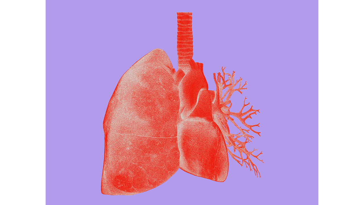 A stylised anatomical illustration of the human lungs, showing the bronchial tree and trachea in red and coral tones against a lavender background. Serves as the visual identifier for the Lung Cancer condition card.