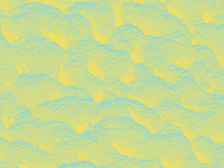 close-up-of-the-stomach-wall-in-yellow-and-teal-green-tones Close-up of the stomach wall in yellow and teal-green tones.