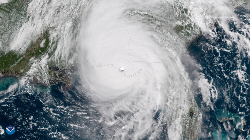 Hurricane Michael caused $158m in Florida ag production losses