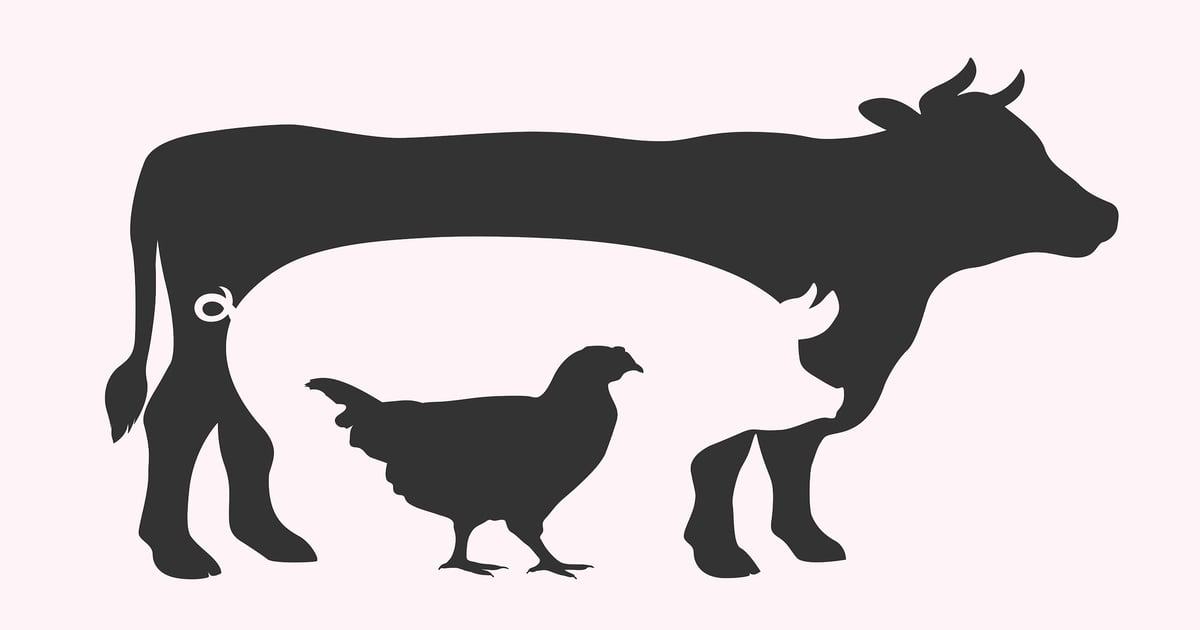 Animine, Feedworks collaborate on U.S. precision mineral portfolio