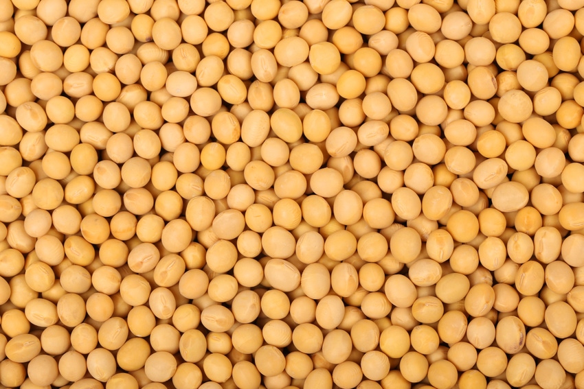 New plants, more capacity may threaten soybean processor profitability