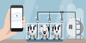 'Big data' could help improve livestock resilience
