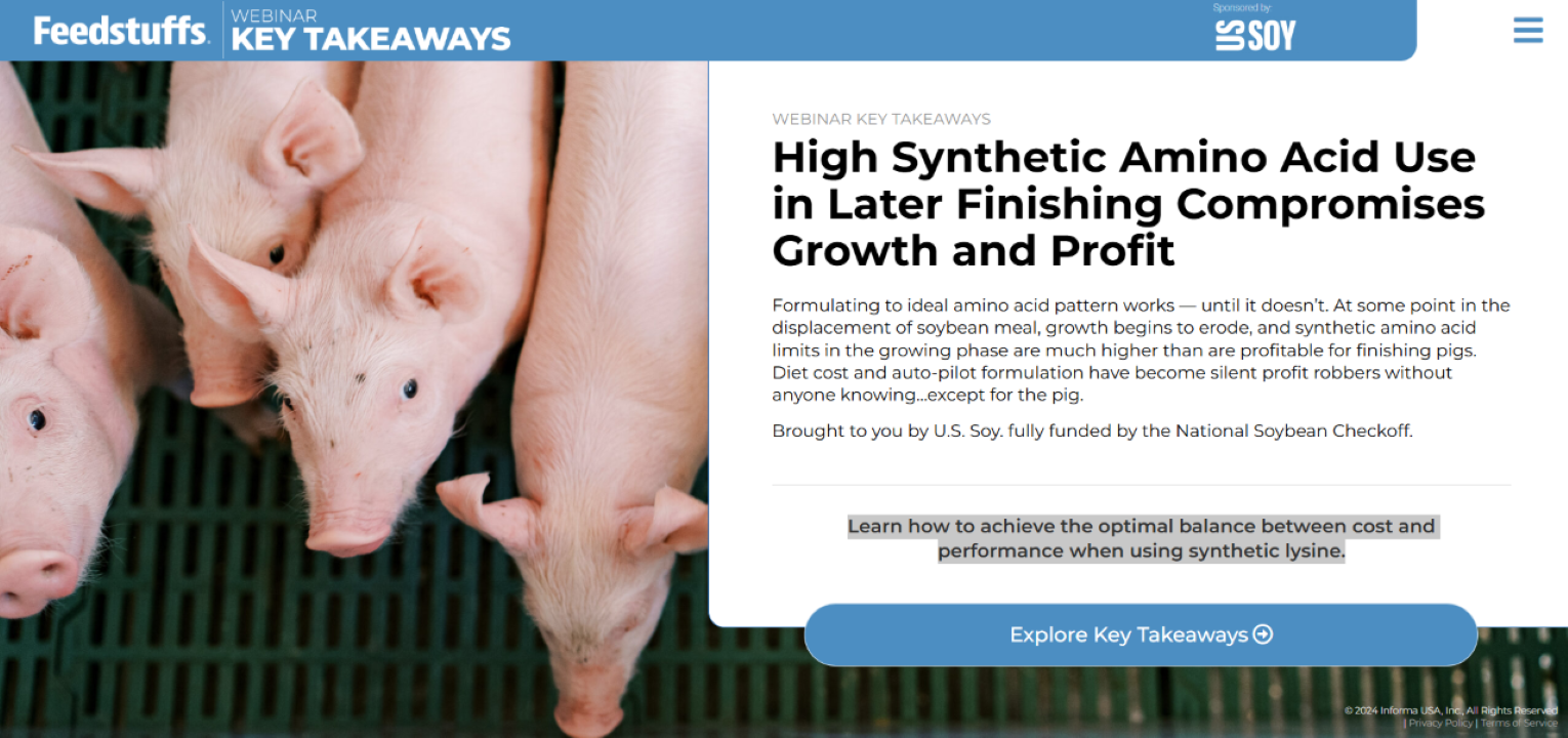 WEBINAR KEY TAKEAWAY: High Synthetic Amino Acid Use in Later Finishing Compromises Growth and Profit