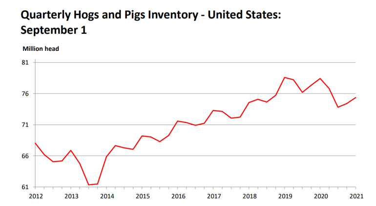 sept 2021 hogs and pigs.png