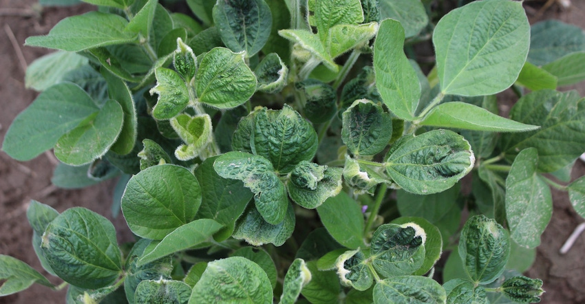 EPA changes label requirements for dicamba products
