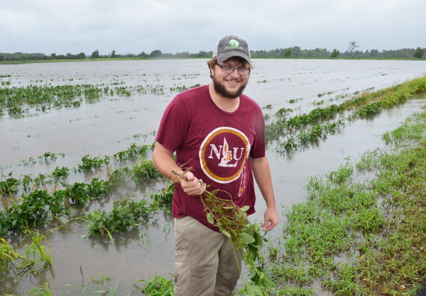 Harvey creates problems for Louisiana farmers