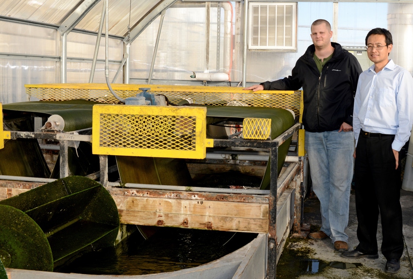 Algae technology helps treat wastewater