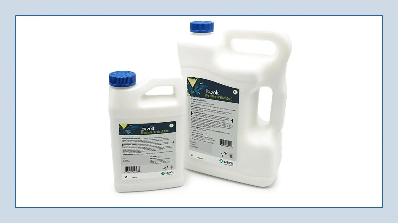 FDA approves Merck’s northern fowl mite treatment for poultry