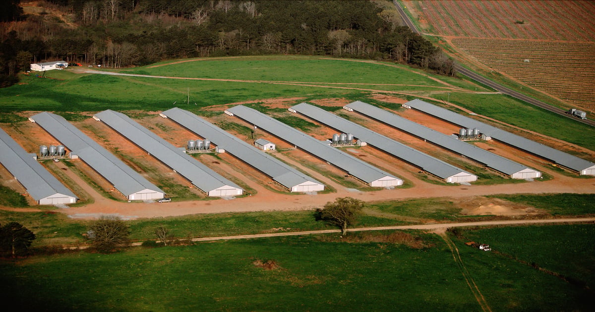 Novel people movement management technology available for poultry hous