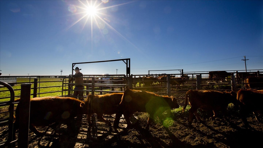 Study shows benefits of 'livestock friendly' designation
