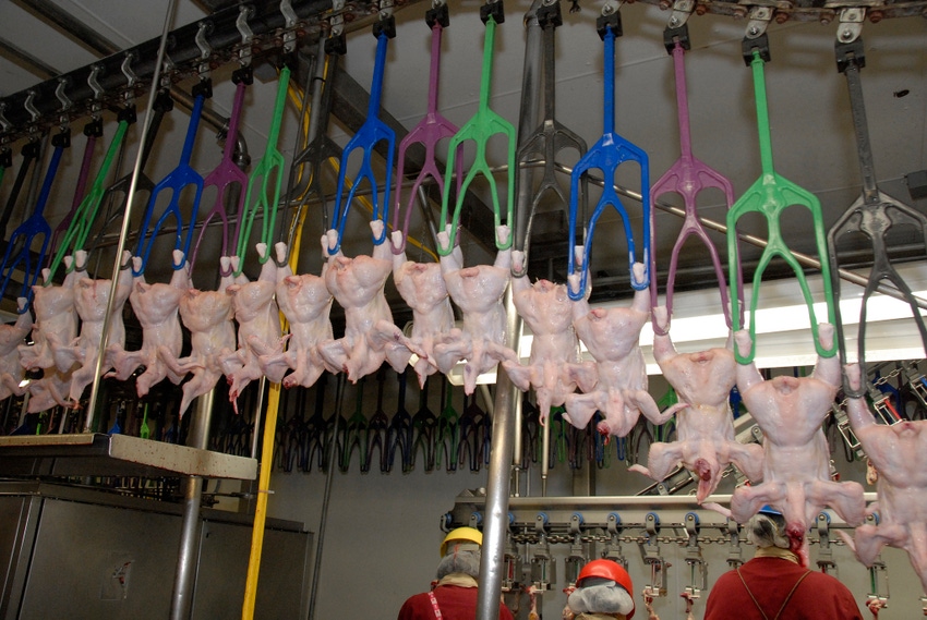 poultry inspection-USDA photo.jpg