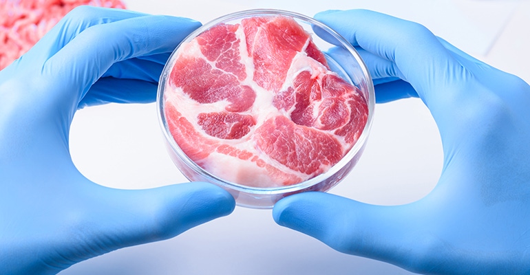 lab-cultured meat.jpg