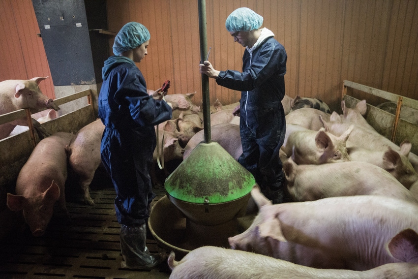 Investing in biosecurity called key step to curb spread of animal diseases