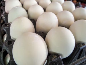 eggs_Chayanan_iStock-488118842.jpg