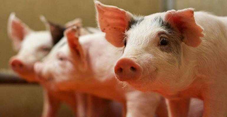 Copper hydroxychloride in weanling pig diets improves performance, health