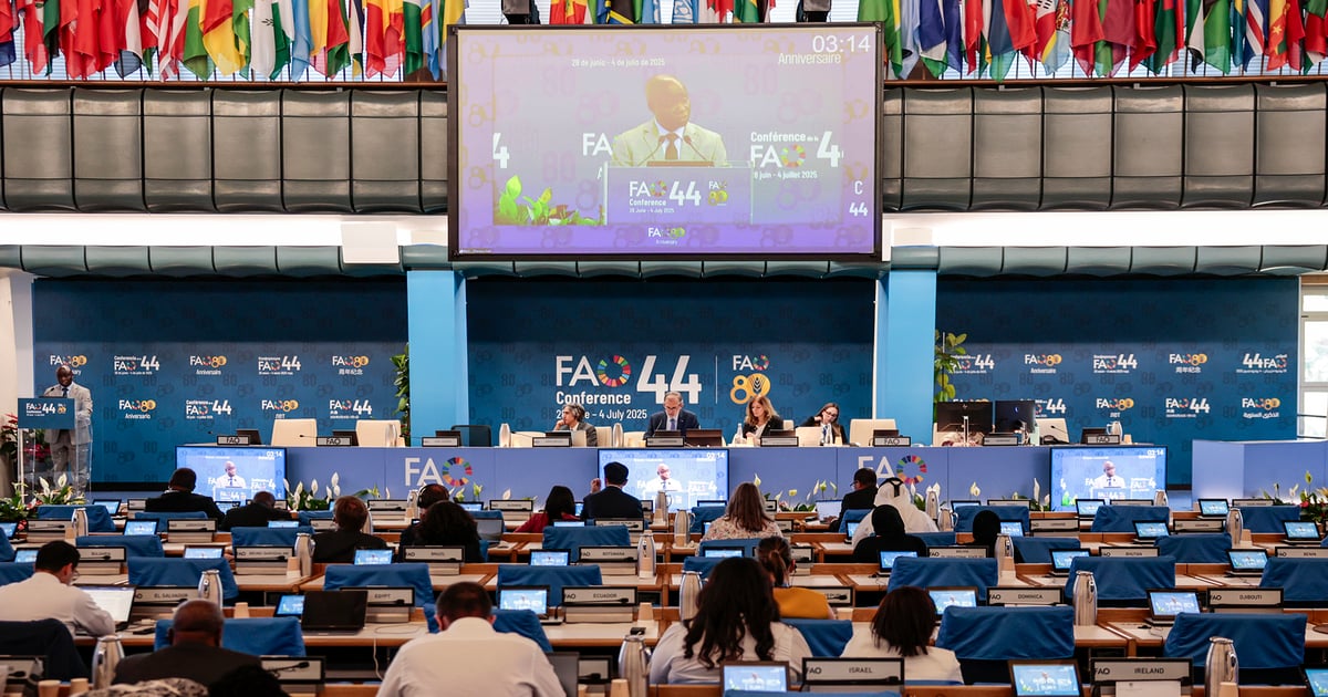 Fao Un Rome Ambassador HE Winston Pinnock Participates In FAO Council