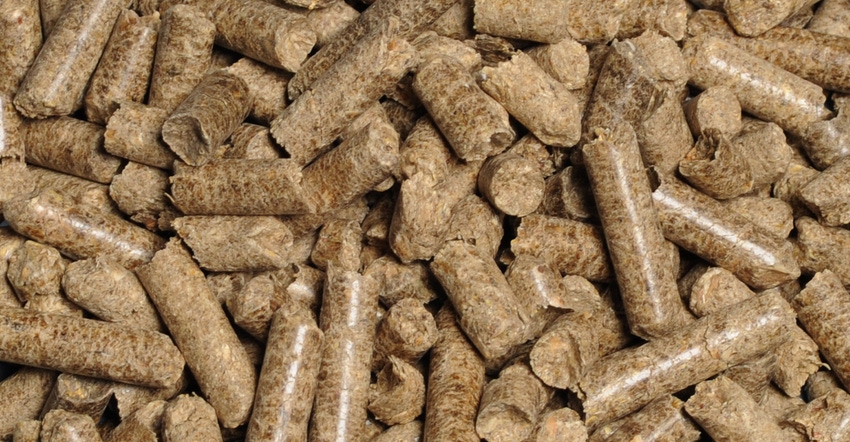 FACILITIES: Selecting the right pellet die