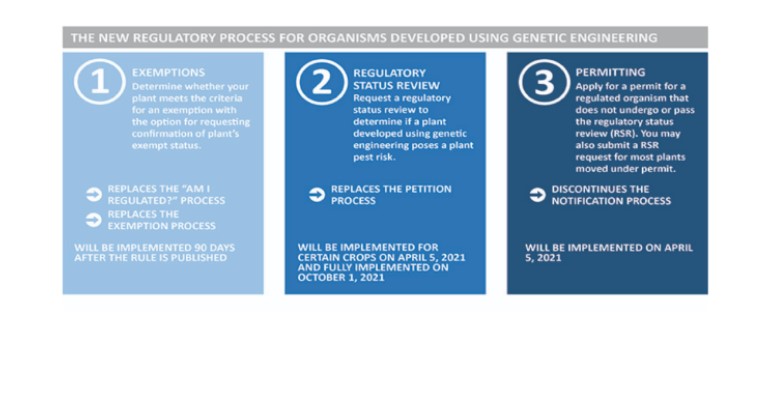 Biotech Regulatory Process .jpg