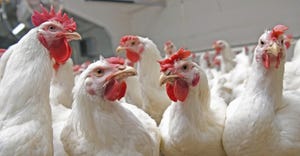 National Safety Conference for the Poultry Industry coming up