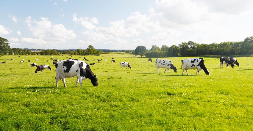 OVN® status of dairy herds: Beta-carotene