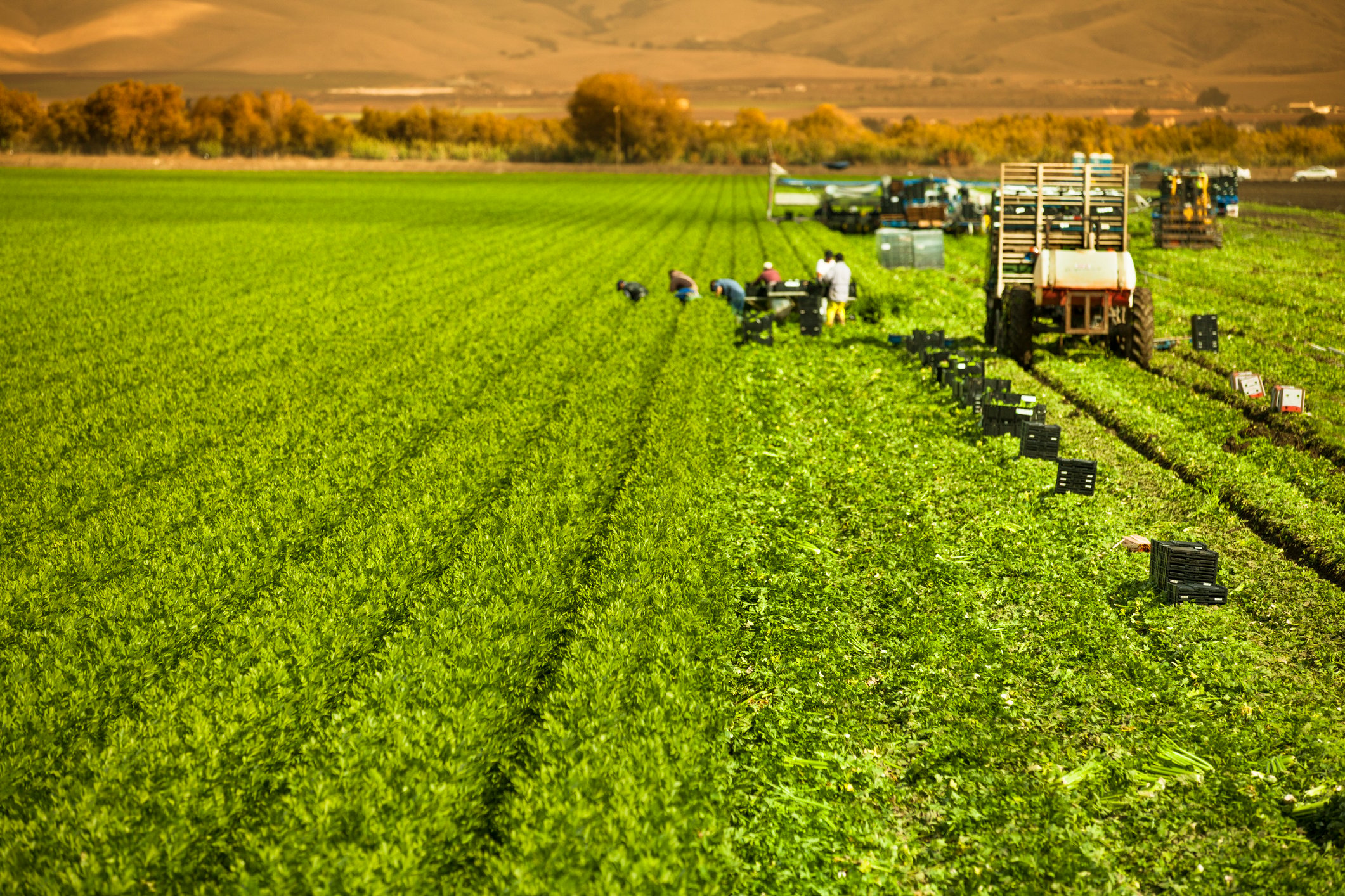 House floats plan to address farm labor crisis - Vimarsana News