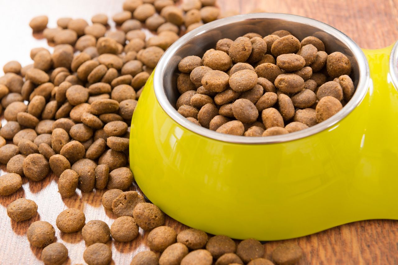 Dna Programming Collaboration launches next generation pet food program pilot