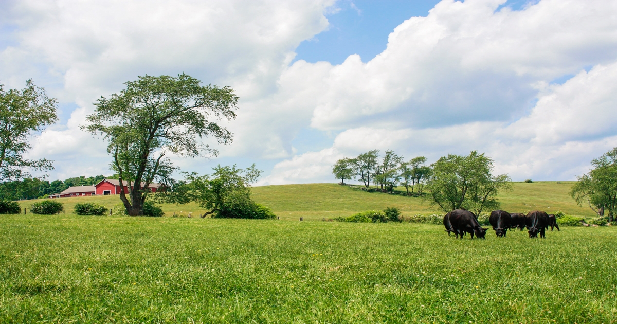 Managing land resources key to ranch success