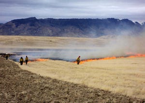 N&H TOPLINE: Wildfire, invasive species alter land management in West