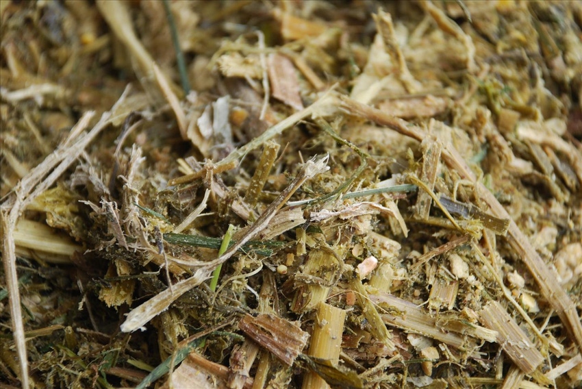 Starch digestibility of silage varies over time