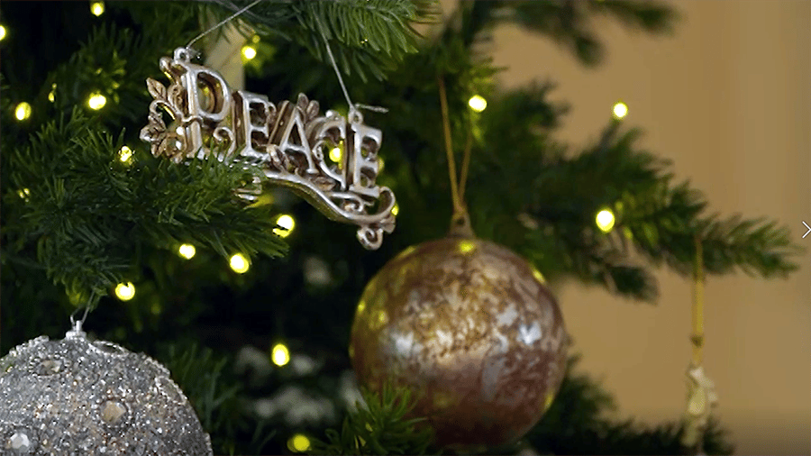 This Week in Agribusiness – Christmas Special - Vimarsana News