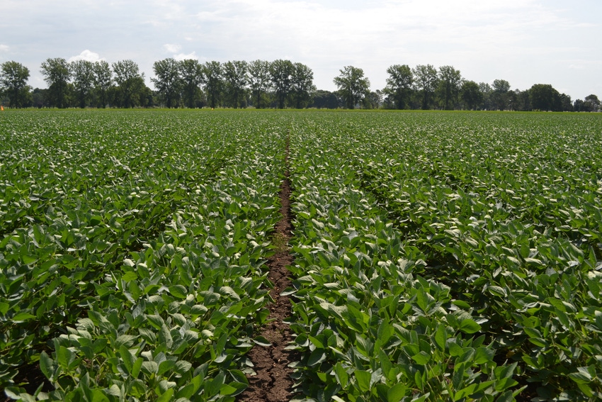 Expanding soy acres driving checkoff investments