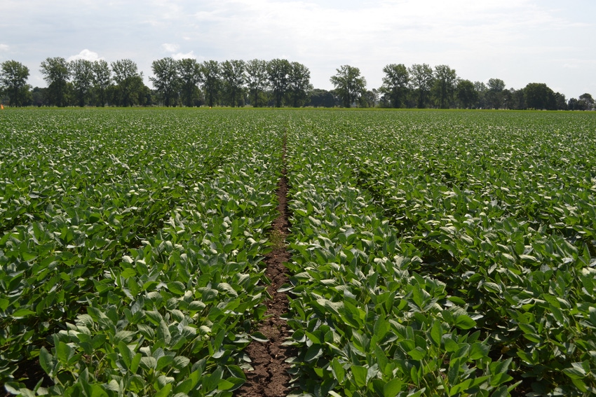 Chinese delegation makes second largest U.S. soy purchase Chinese delegation makes second largest U.S. soy purchase