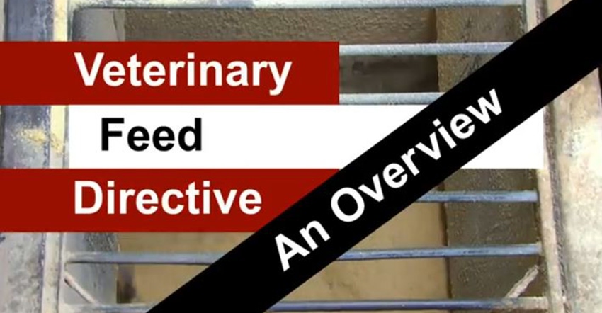 Veterinary Feed Directive Overview Video