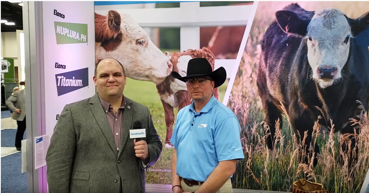 Cattle producers see feed efficiency gains from Rumensin use