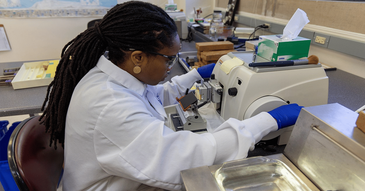 USDA unveils a new food safety strategy and lab