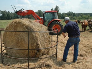 Hay producers should consider quality over quantity